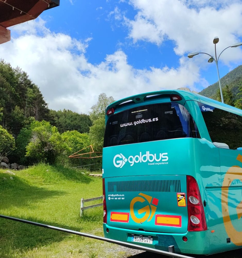 IMG-20240820-WA0027 (2)